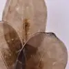 Close-up of overlapping bronze-colored leaf shapes with detailed veining and reflective surfaces, forming a decorative sculpture.