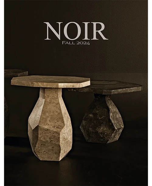 Noir Lookbook Fall 2024